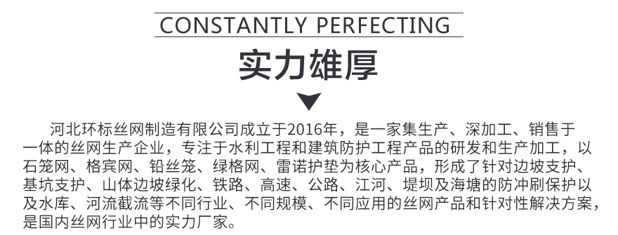 雷诺护垫