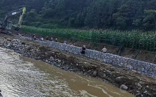 高尔凡格宾网
