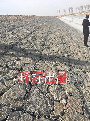 应用案例