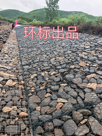 应用案例
